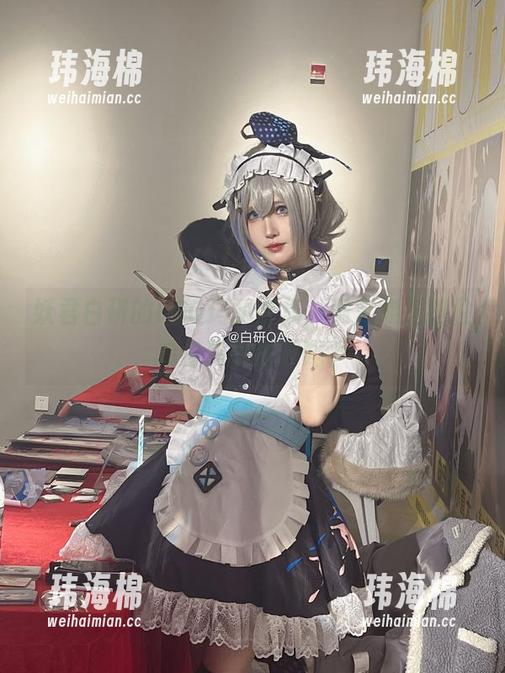 妖君白研的FGO玛丽合集，确定能抵挡住单身狗的眼泪吗？-玮海棉