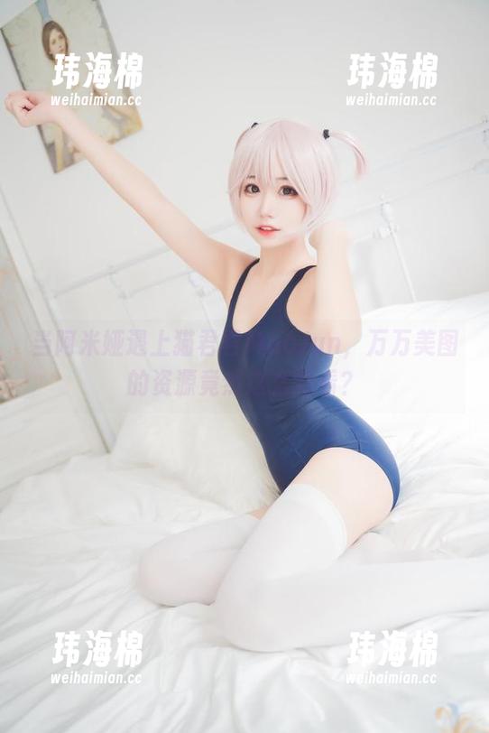 当阿米娅遇上猫君君MaoJun，万万美图的资源竟然这么好看？-玮海棉