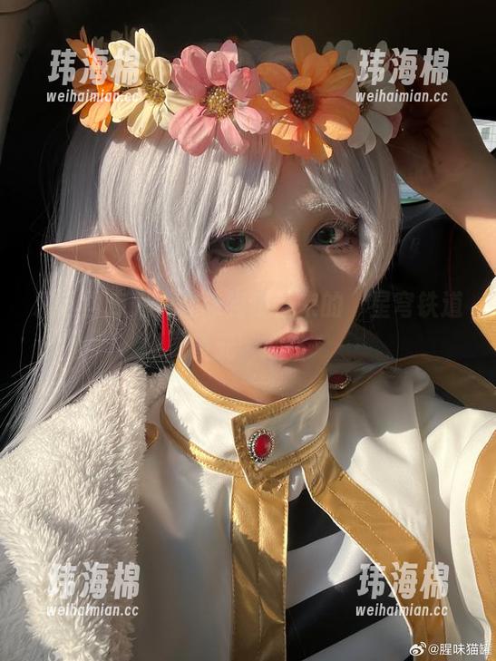 精选图库秀，腥味猫罐带来的‘星穹铁道景元’心路-玮海棉
