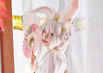 反转人生的高清写真集：阿寨寨ninja和她的恋柱败北