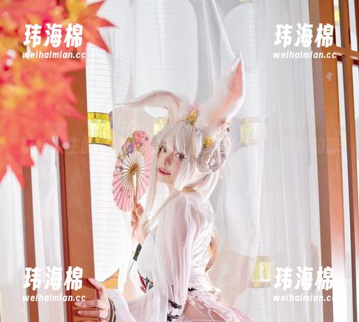 反转人生的高清写真集：阿寨寨ninja和她的恋柱败北-玮海棉