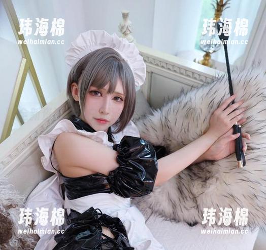 全新资源:黑白御猫把女仆文化玩得不要不要的-玮海棉 全新资源:黑白御猫把女仆文化玩得不要不要的-玮海棉